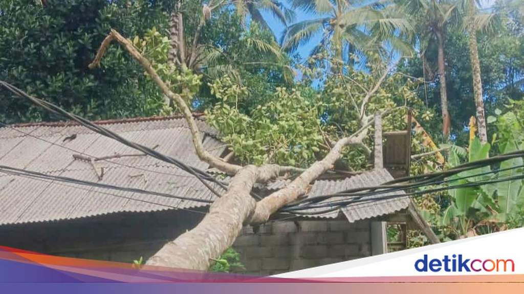 Emergency response team and local residents clearing a large fallen jackfruit tree that damaged a residential roof and utility lines in Karangasem.